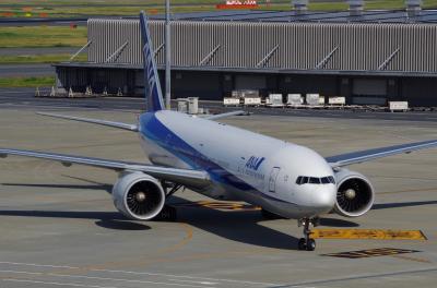 全日空（ANA）ビジネスクラス　B777-300ER 羽田ーフランクフルト（HND-FRA）搭乗記 (2016年7月）