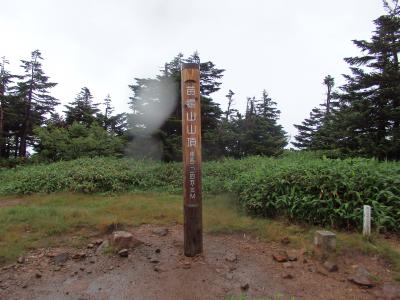 苗場山（初日）登山　高山植物を求め