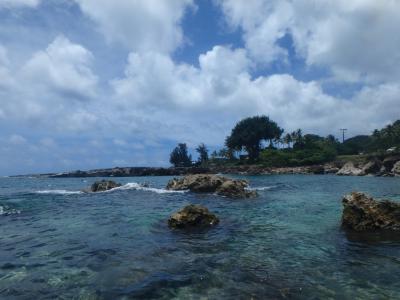 2016 Hawaii ビーチ巡りでのんびり パート?