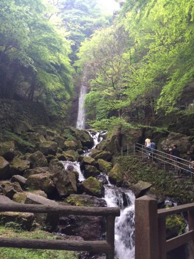 癒しのパワースポット 養老の滝