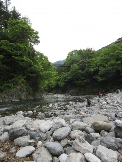 初夏の奥多摩でトライアル・バックパックキャンプ