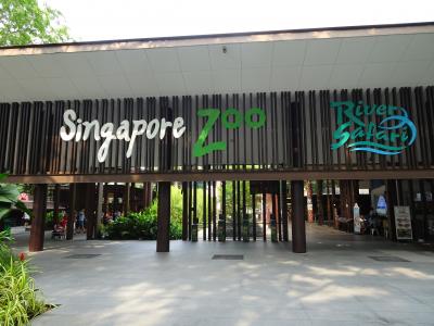 超ハード 7days in Singapore ~(´∇)ノ~ ⑦動物満載の一日・・・