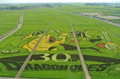 埼玉県行田市ぶらり旅　☆古代蓮の里から見る世界最大のドラゴンクエスト田んぼアートとのぼうの城の忍城☆