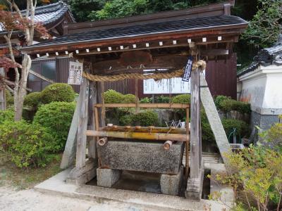 今日は山の日。西国三十三か所の繖山（きぬがさやま）と姨綺耶山（いきやさん）に行ってきた。