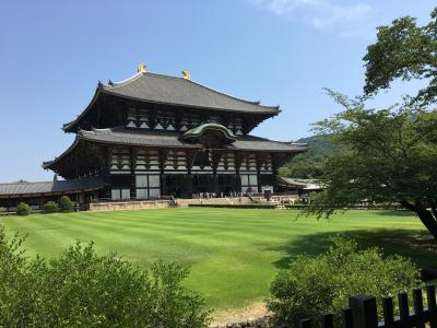 思い立ったら旅へ　奈良／東大寺など世界遺産を巡る旅