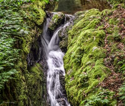 兵庫県　京都府の　県境　糸井渓谷　大かつら　・　出石　奥山の郷