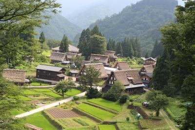 久々に兄と長距離旅行に出た