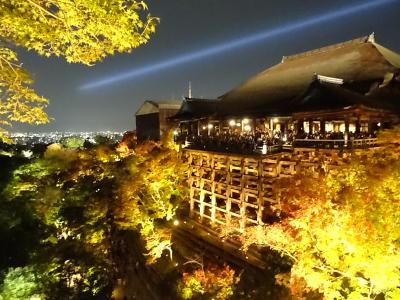 紅葉を見に京都へ ～2015秋～