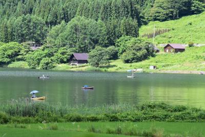 大糸線山岳車窓とアルプスあづみの公園の夏木立散策（長野）