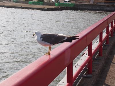 仙台2日間旅行～2日目松島～