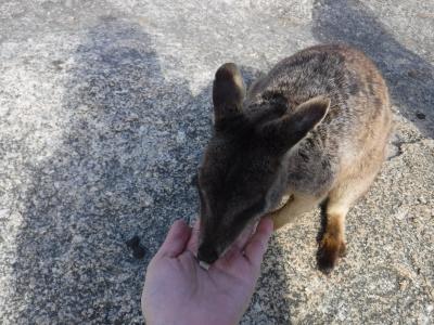 はじめてのケアンズ旅④