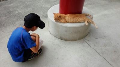 くいどうらくの沖縄旅～～那覇編