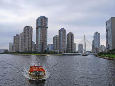 隅田川テラスを歩く（両国橋～中央大橋）