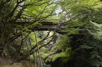 北陸乗り放題切符で気ままな一人旅　２泊３日　２日目山中温泉