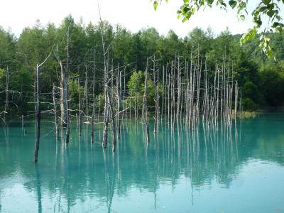 2016 夏休み北海道旅行