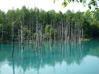 2016 夏休み北海道旅行