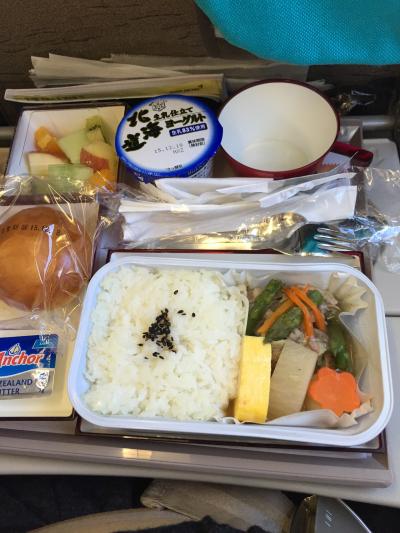 パリ2015(成田-仁川の機内食)