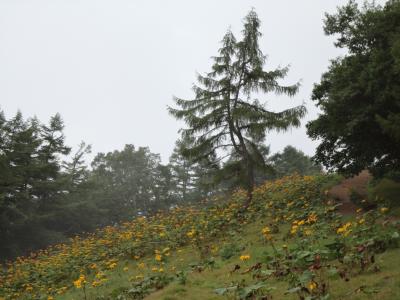 雲取山　山頂標識が・・・