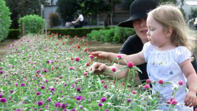 Japan トーニャの休日（2-1） 花摘みの小川農園ほか