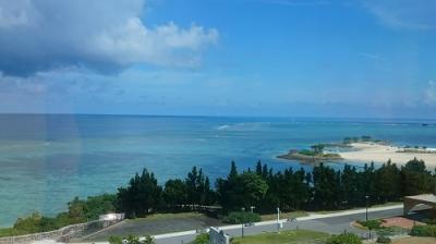 初めての沖縄旅行3日目。美ら海水族館と、ハンバーガー。