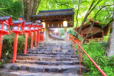 涼を求めてちょこっと貴船へ＆下鴨神社『 糺の森の光の祭』