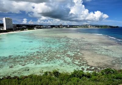 チビと両親と三世代でグアムへ④