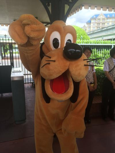 ホライズンベイ予約できずプルート探し(夏休み日曜日開園30分前トイストFP20時)(千葉県)