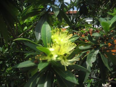 2016年夏・バンコク旅行記 4分の3