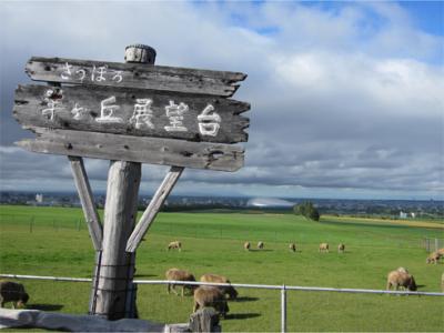 北海道（道南・富良野他）への旅（4・5日目：美瑛・札幌編）