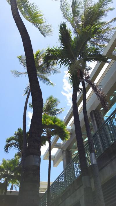 2016夏  ハワイ…何度でも。
