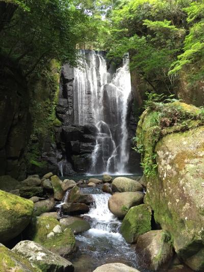 美しい桑の木の滝
