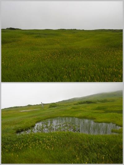 梅雨明けの東北旅　山形編