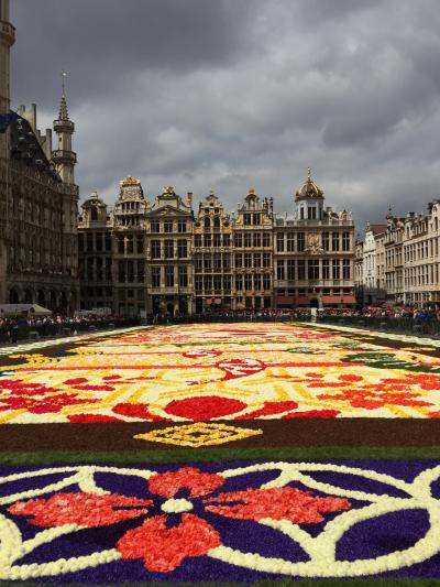ブリュッセル　フラワーカーペット2016☆