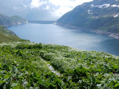 スイス･ハイキングの旅 2016夏(10) （ルチェンドロ湖～レアルプ）
