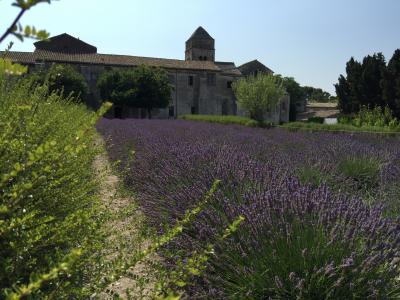 2016.07.08～フランス個人旅行～アルル・サンレミドプロヴァンス③