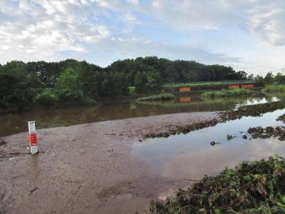 台風一過のわが街小手指　　My town Kotesashi after typhoon No.9,10