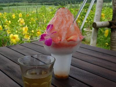 2016*ANA直行便で行く石垣島③石垣島観光・ドライブ♪