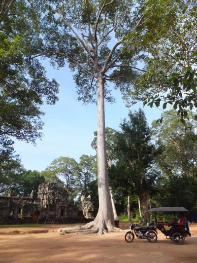 Angkor 2016 (2日目)