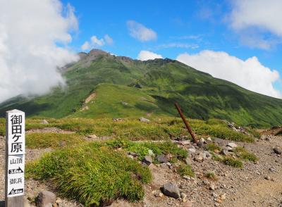 花の山　鳥海山でお花畑を巡る山旅 　（鉾立～外輪山～新山～鉾立）