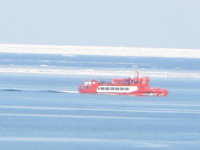 念願の流氷とごまちゃんとの出会い2日目（羽田～紋別2泊3日）