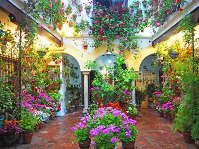 ☆8年ぶりのサグラダ・ファミリア~初めてのカディス~☆⑤コルドバ