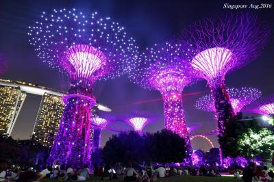 【シンガポール（シンガポール）】 マリーナベイエリアで観る幻想的な夜景！「ガーデン・ラプソディ」&「ワンダー・フル」