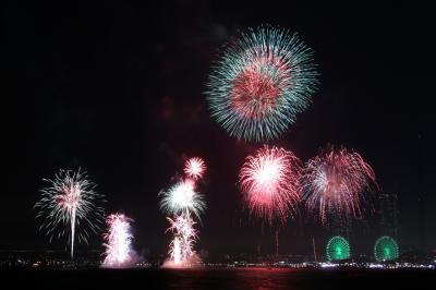 旅するイルカ♪　りんくう花火チャレンジ2016へ