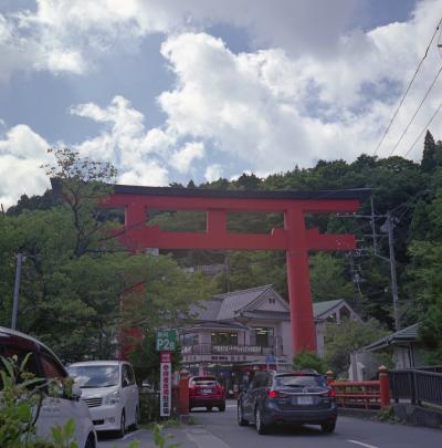 箱根神社へ。。。