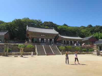 ビートルで初めての釜山1泊2日（２：梵魚寺と学生街と夜の釜山編）