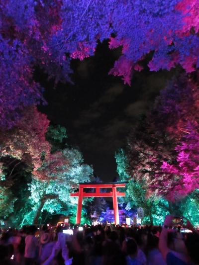 ★ 糺の森の光の祭 ★　世界遺産・下鴨神社　幻想的な光の饗宴