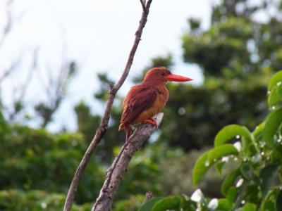2016夏休み～石垣島6泊7日の旅（6日目）