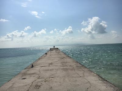 台風１０号に翻弄されかけた石垣諸島めぐり