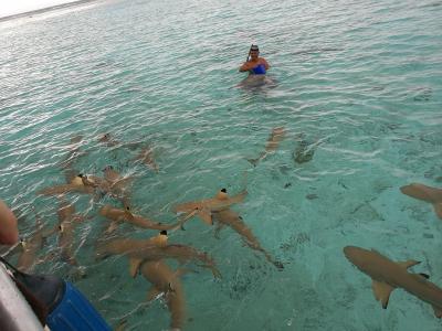 タヒチ~ボラボラ島~2日目 挙式+ハネムーン(モツピクニック編)