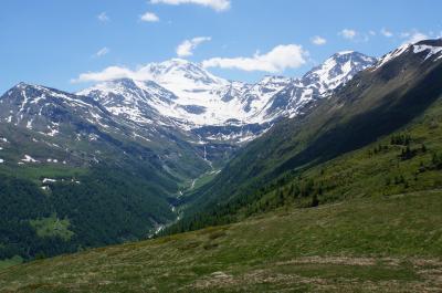 85 Gibidum(Gebidum) ギビドゥム(ゲビドゥム)